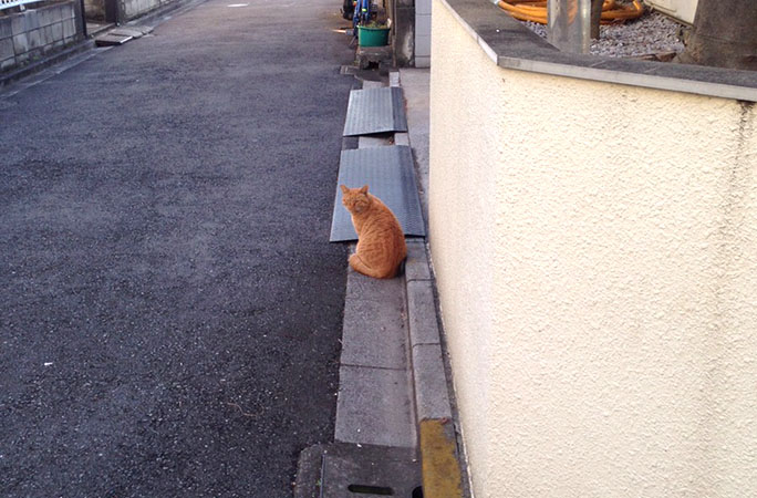 ボソッと