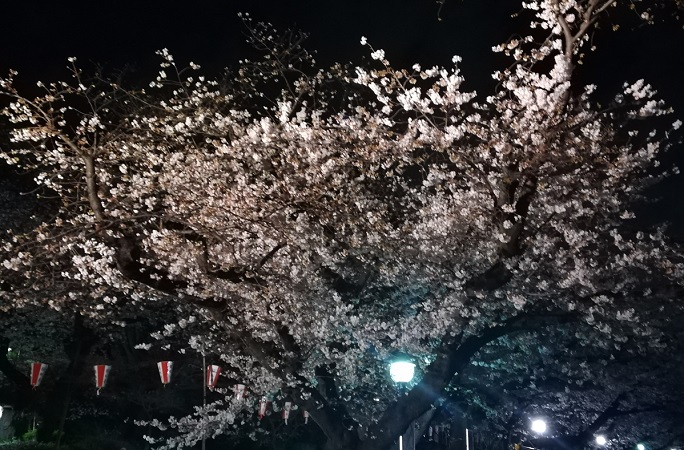 ボソッと