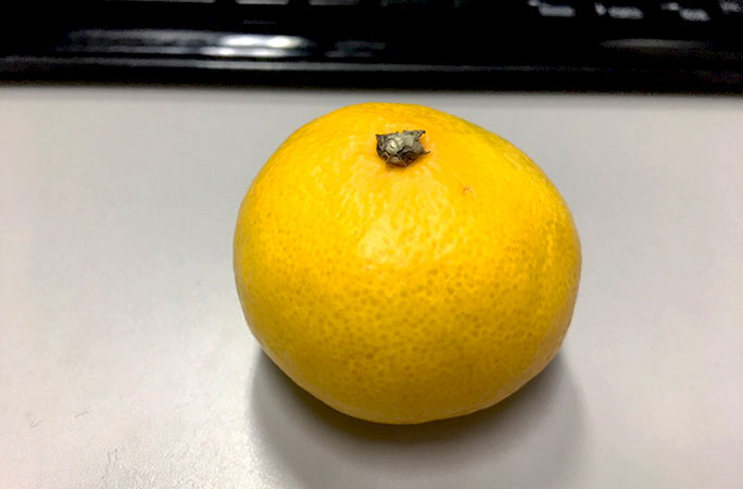 ボソッと