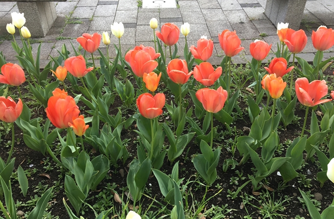 ボソッと