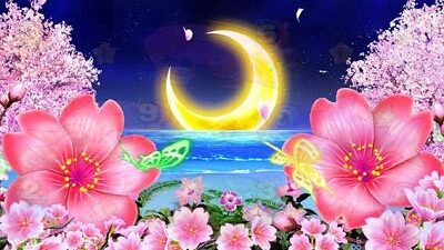 Pスーパー海物語 IN 沖縄5 桜ver. 満開319 信頼度が若干アップ