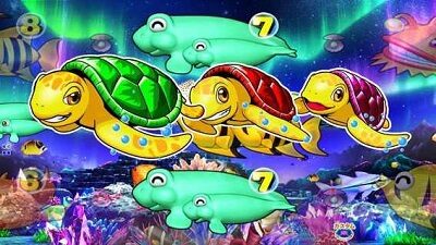 PA新海物語 カメステップアップ予告