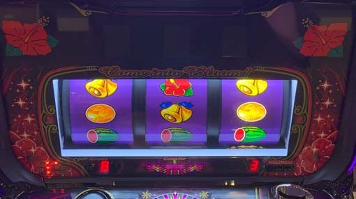 スーハナライジング-30 【小役入賞時のフラッシュ】