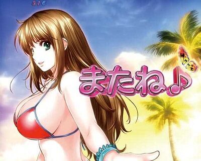 キュインぱちんこ P南国育ち デカパトVer. 甘デジ 【時短抜けアナウンス予告】