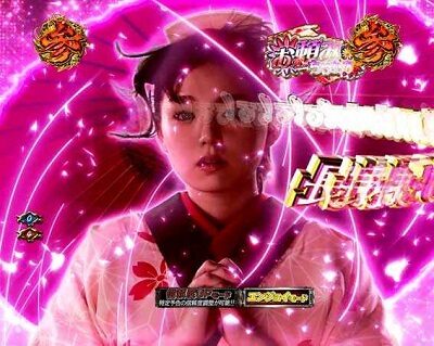 ぱちんこ 新・必殺仕置人TURBO 絵合わせちゃんす