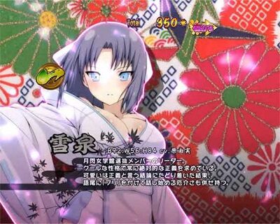 P閃乱カグラ2 胸躍る199Ver. 洗浄方法