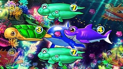 P大海物語4スペシャルBLACK 【イルカ予告】