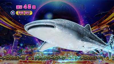 P大海物語4スペシャルBLACK 【キャラ通過予告】