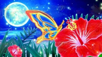 Pスーパー海物語 IN 沖縄5 【ダイナミックチャレンジ】