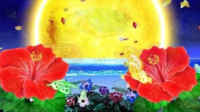 Pスーパー海物語 IN 沖縄5 スーパーリーチ発展濃厚