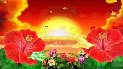 Pスーパー海物語 IN 沖縄5 【背景変化予告】