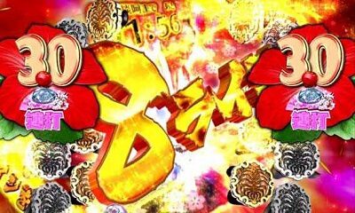P遠山の金さん2 遠山桜と華の密偵JQA 内容