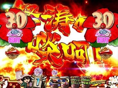 P遠山の金さん2 遠山桜と華の密偵JQA 【怒涛の啖呵リーチ】