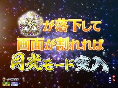 P花満開 月光 THE FINAL 【JUDGEMENT】
