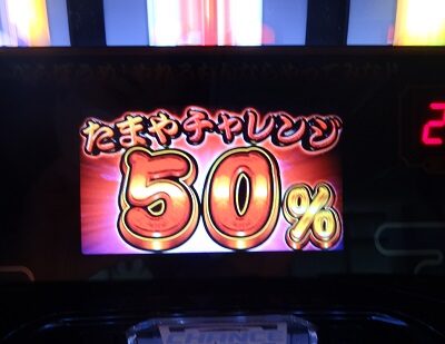 新ハナビ たまやチャレンジについて