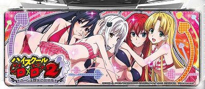 ハイスクールD×D2 ハーレム王に俺はなる 【下パネル】