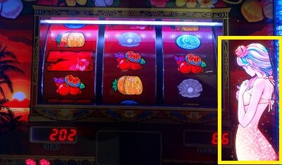 チバリヨ-30 【ボーナス中の抽選】