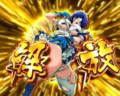 P真・一騎当千 【不屈解放予告】