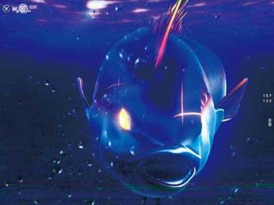 PA元祖大工の源さん2 マグロフラッシュ予告