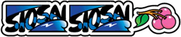 シオサイA-30 2枚