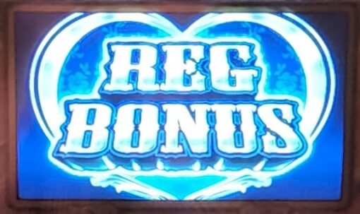沖ドキ!GOLD REG BONUS