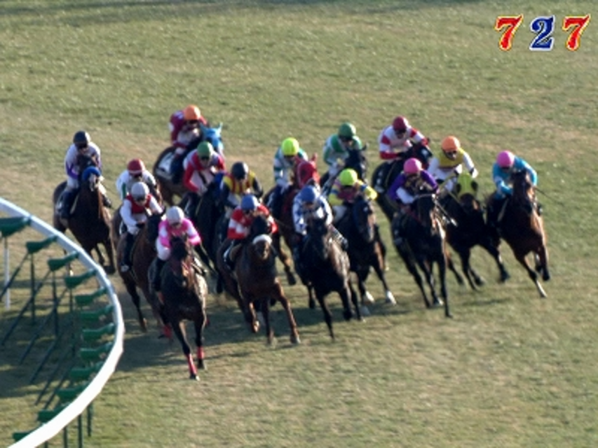CR KING of KEIBA FPMZ レースリーチ