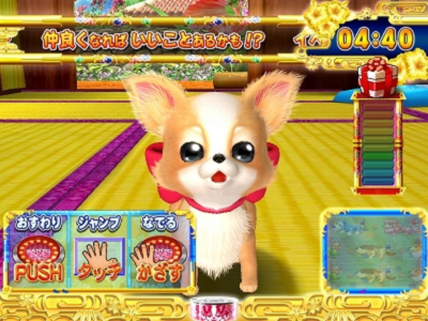 CRわんわんパラダイスＩＮ沖縄 スペシャルふれあいチャンス