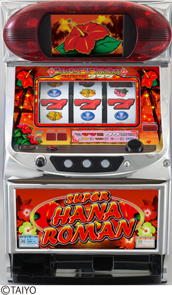 Super Hana Roman 2-30｜Ceiling, Setting estimation｜HAZUSE
