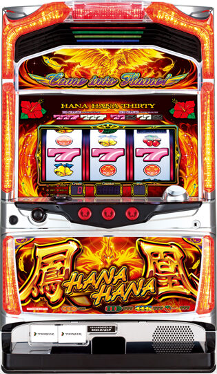 Hanahana Houou-30