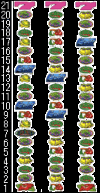 ゴールドシオ-30 リール配列