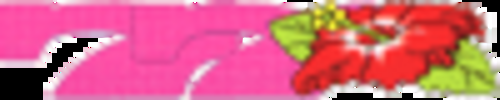 REG BONUS