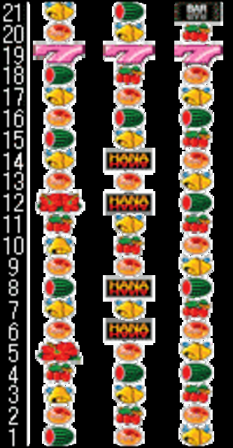 ニューハナハナ-30 リール配列