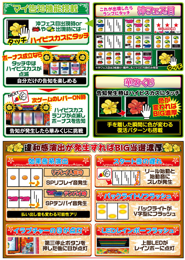 もっと！沖縄フェスティバル-30 特徴