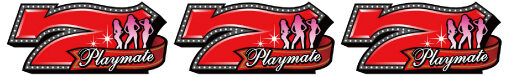 パチスロPLAYBOY 払い出し枚数