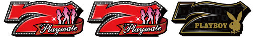 パチスロPLAYBOY 345枚を超える払い出しで終了