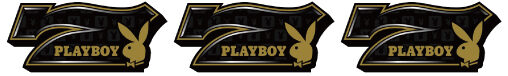パチスロPLAYBOY 配当表