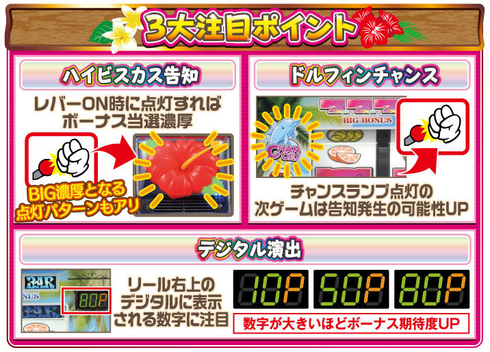 ジャックポット トロピカルバージョン2 特徴