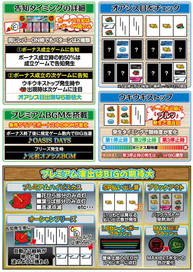 オアシスデイズ 特徴