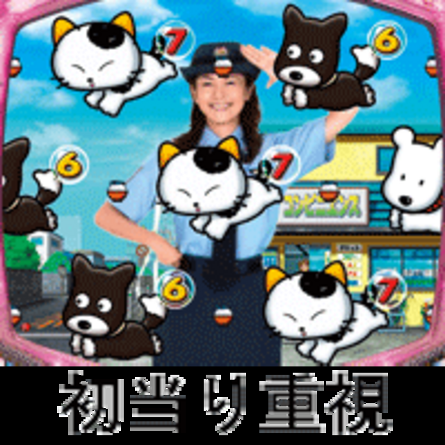 CRAうちのタマ知りませんか? ST STのスペック
