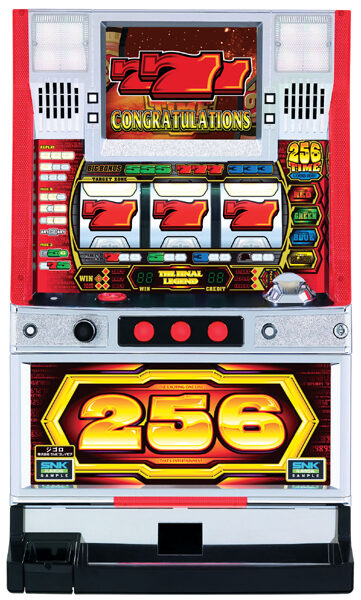 256