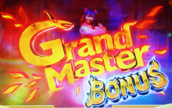 燃えよ！功夫淑女ドラゴン グランドマスターBONUS