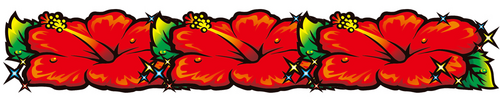 HIBISCUS BONUS