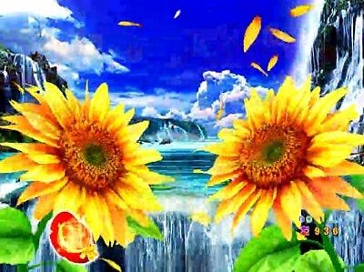 PA清流物語3 【ひまわり動作前兆予告】