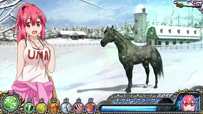 GⅠ優駿倶楽部2 大チャンス