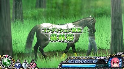 GⅠ優駿倶楽部2 調教内容