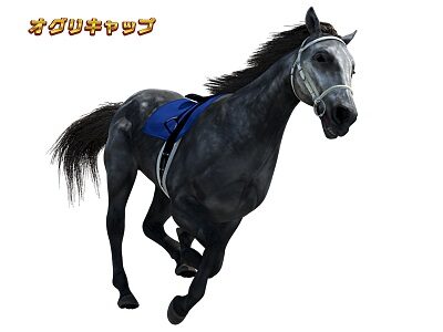 GⅠ優駿倶楽部2 オグリキャップ