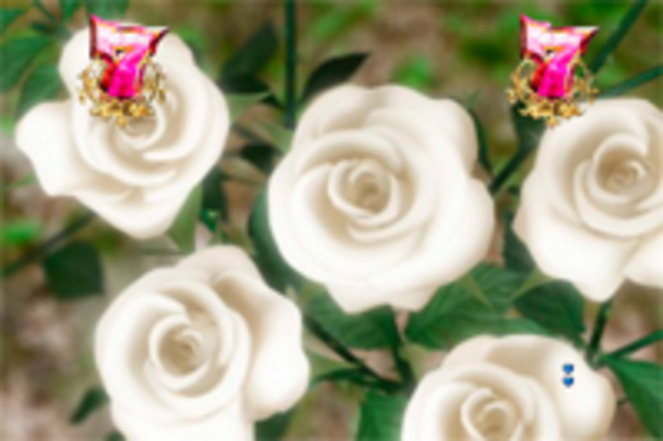CRベルサイユのばらIII 薔薇は美しく散る NRX ベルばらリーチ