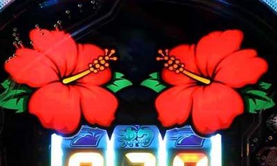 P沖7 BLACK 【華ランプ】