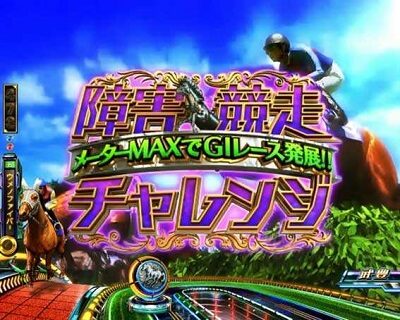 PA GⅠDREAM駿 【障害競走チャレンジ】