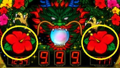 スーパードラゴン ハイビスカスの点灯パターンについて